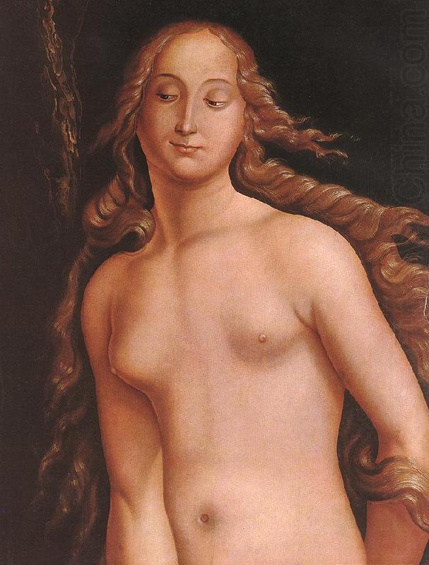 BALDUNG GRIEN, Hans Eve (detail)  l97 china oil painting image